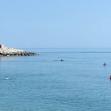 Marche - I delfini nuotano fra i bagnanti a Civitanova, il sindaco: 