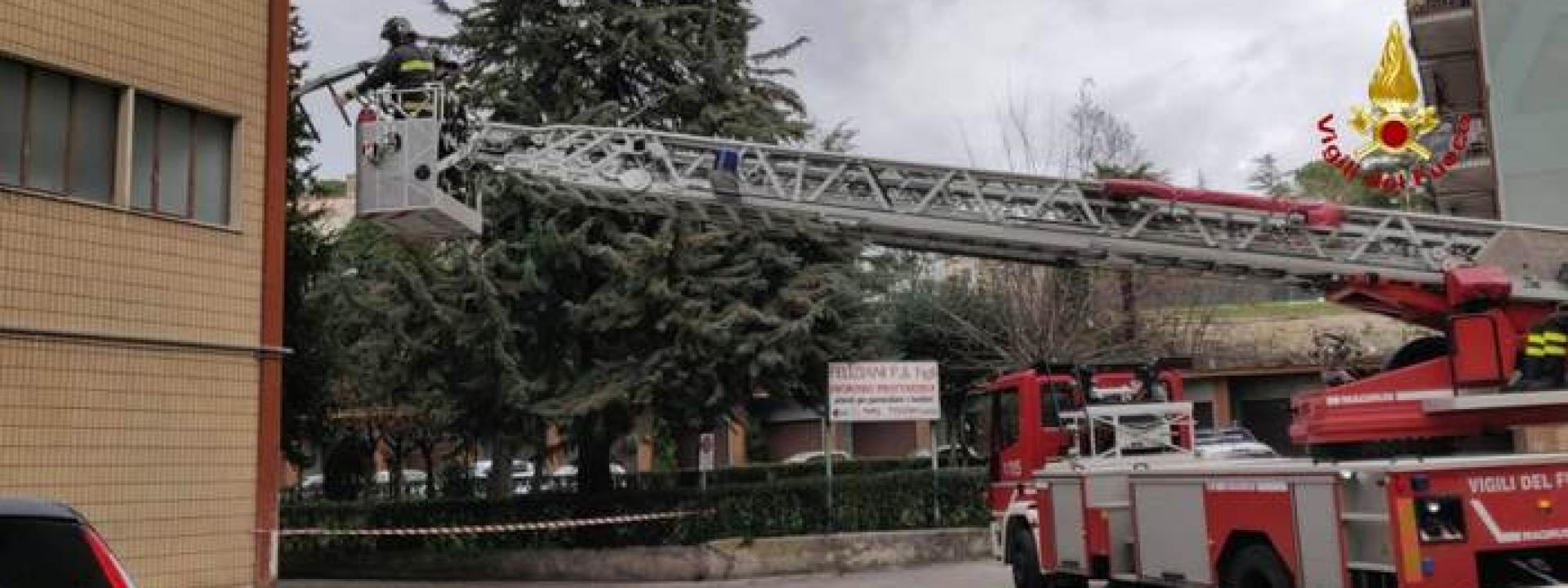 Vento forte nelle Marche, a Tolentino un tavolo finisce sopra un albero