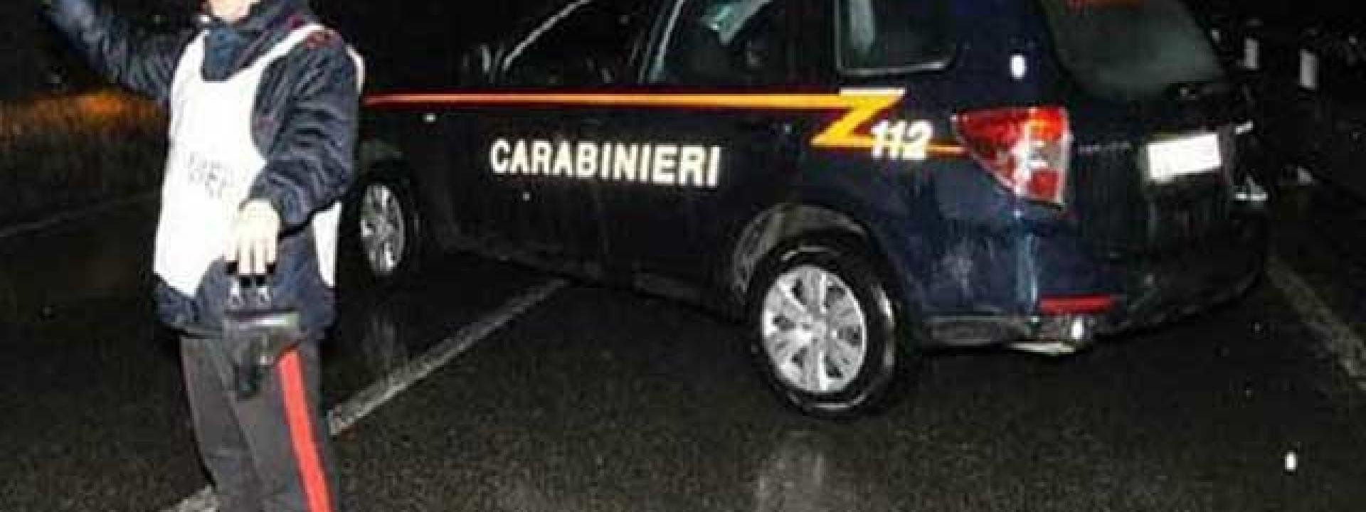 Fugge all'alt dei carabinieri e si schianta con l'auto: arrestato