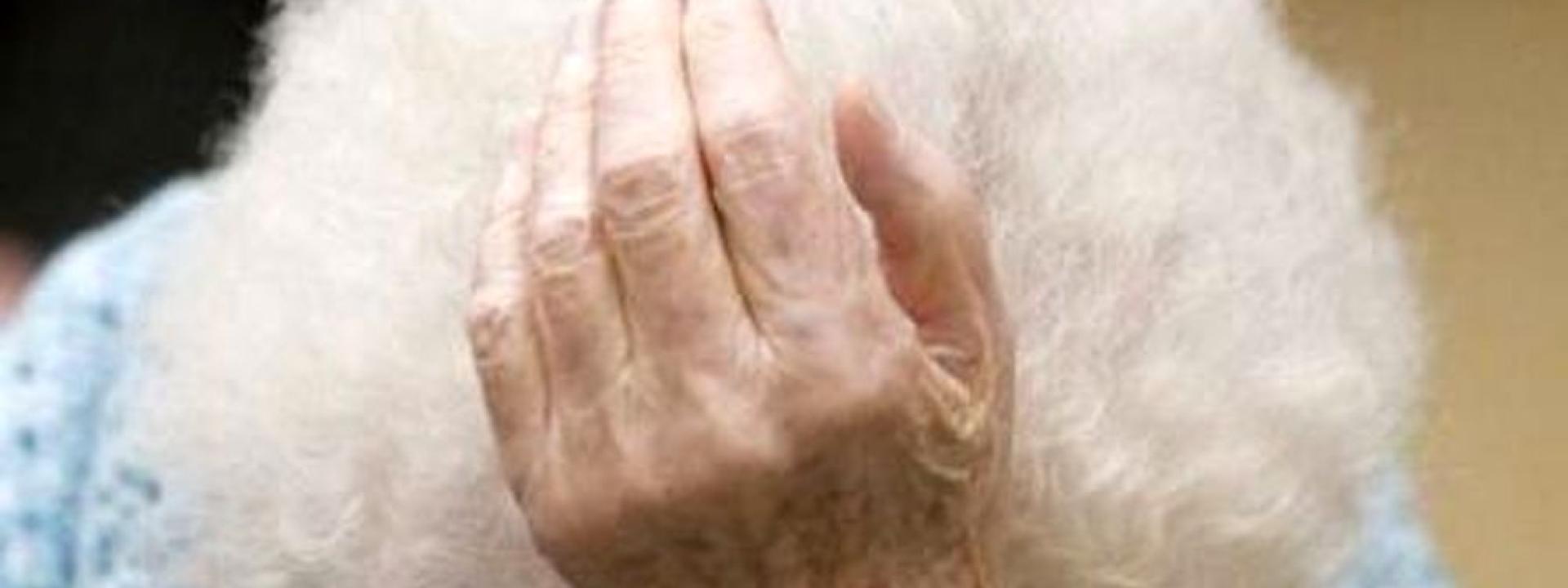 Picchia e maltratta la nonna di 86 anni: arrestato un 33enne