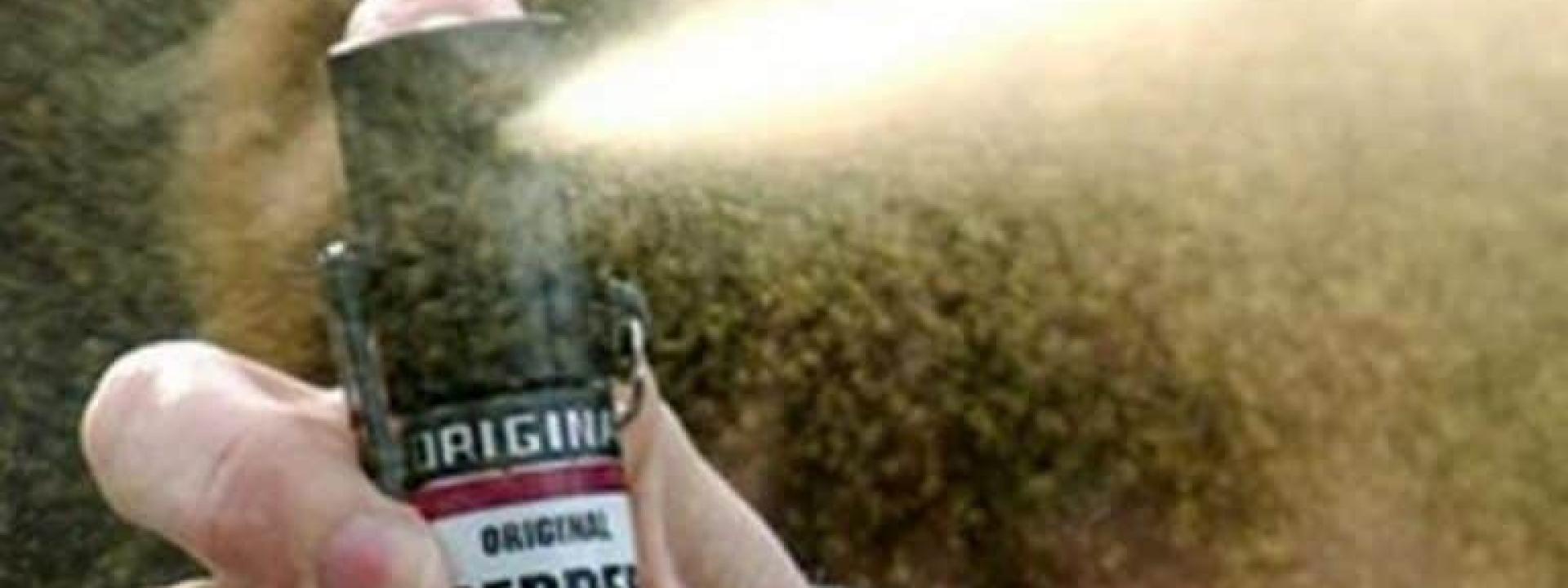 Spruzzano lo spray al peperoncino a scuola: 13 intossicati, uno è grave