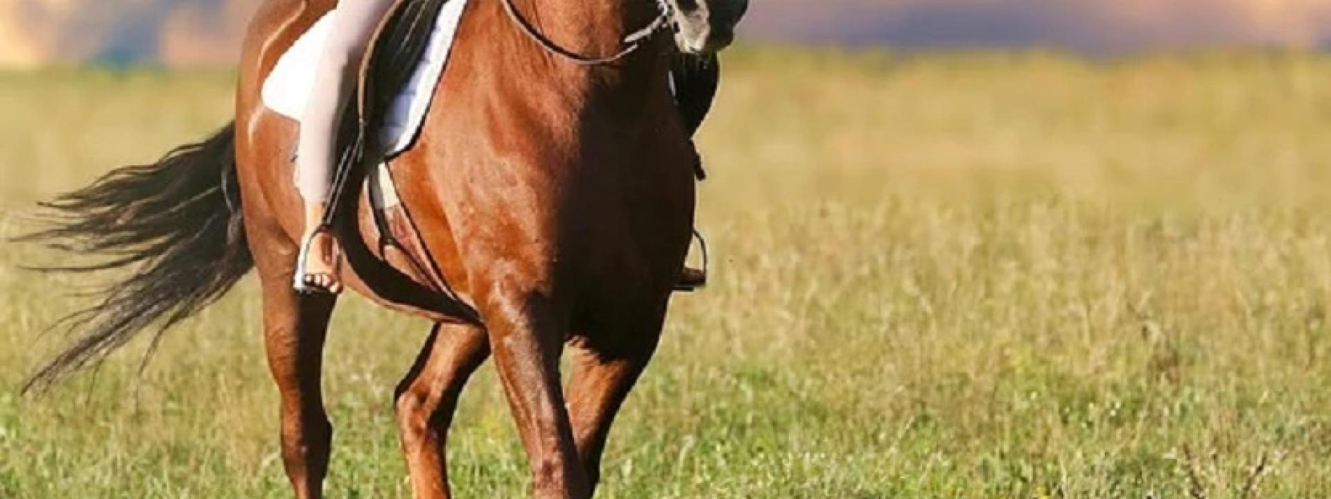 Rovinosa caduta da cavallo: gravissima una 17enne