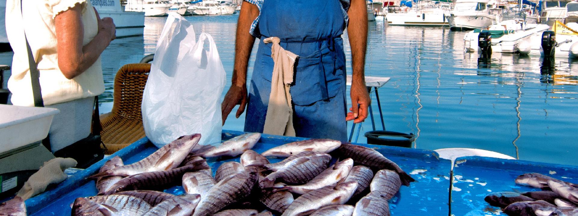 Protesta pescatori, si va verso il prolungamento dello stop