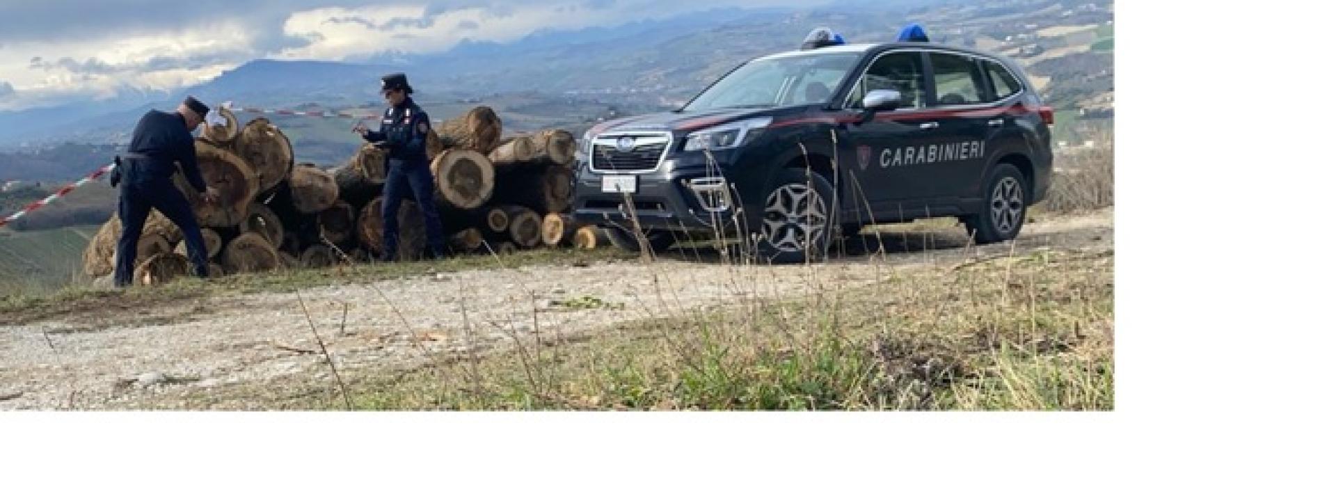 Marche - Taglio a raso di bosco senza autorizzazione, tre denunce