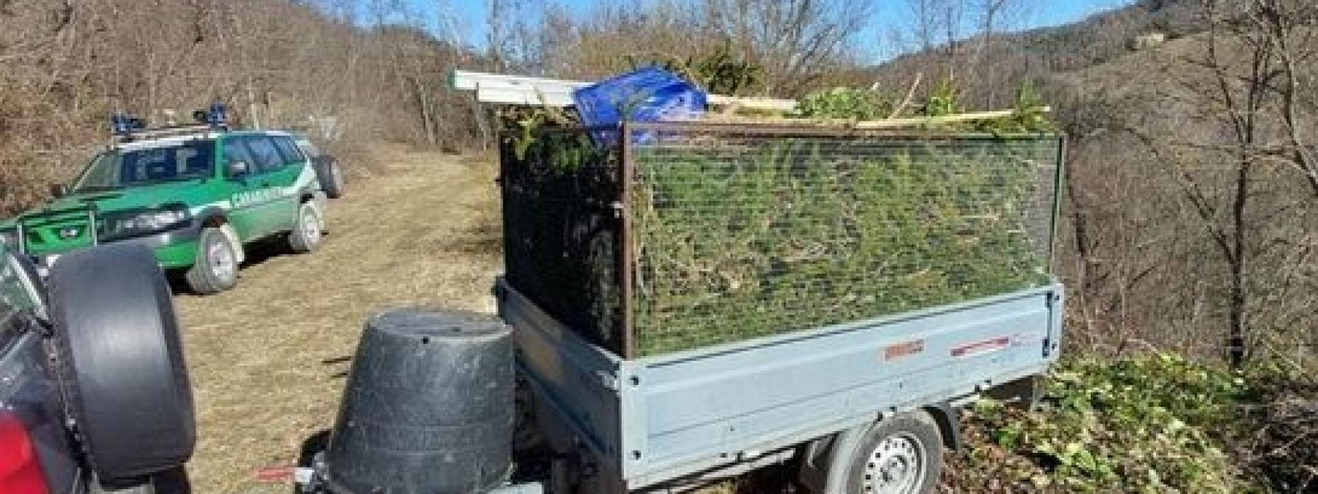 Marche - Potano le piante e scaricano gli scarti in un'area boscata: due denunce