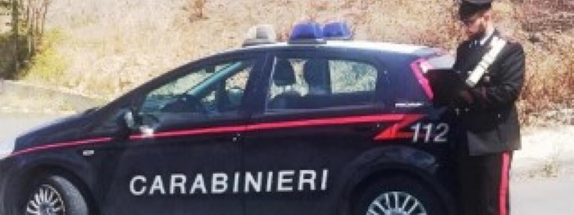 Pony trascinato da un'auto per chilometri e poi abbandonato sul ciglio della strada