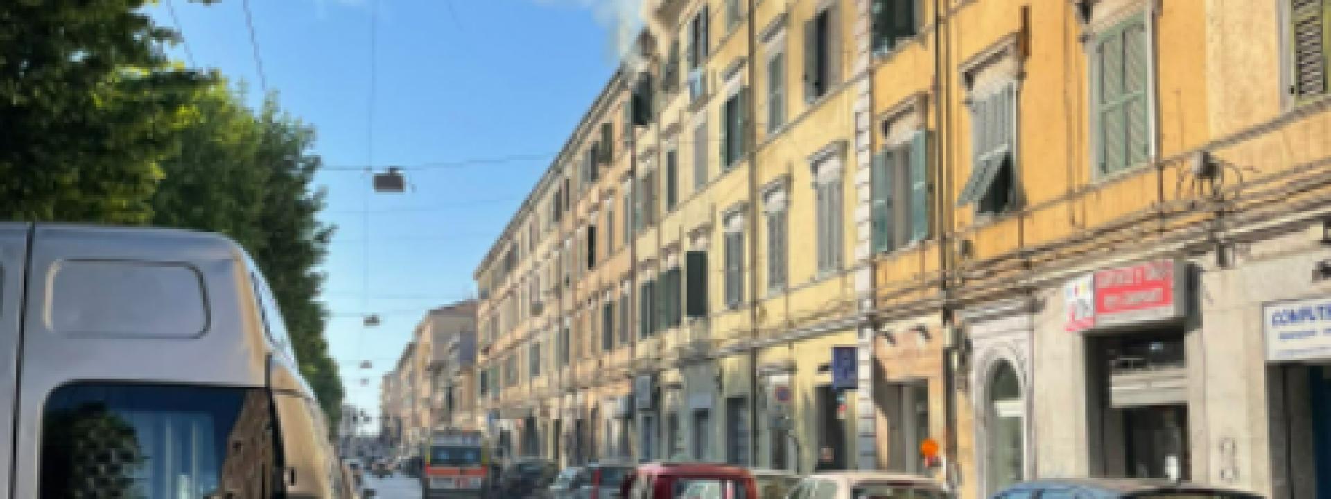 Marche - Incendio in un appartamento, morti un cane e un gatto