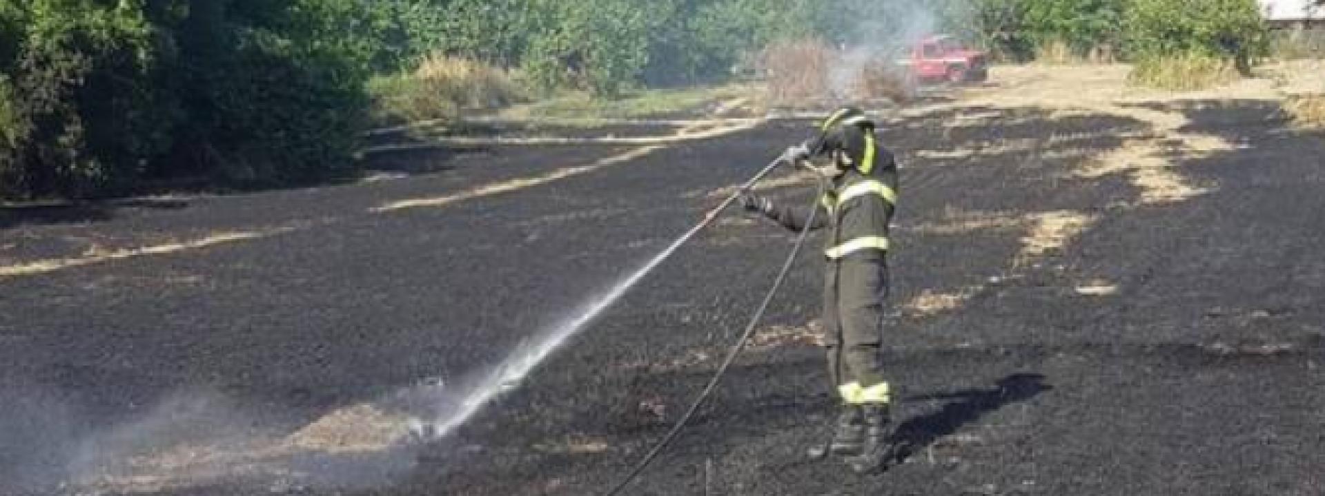 Marche - Incendio di sterpaglie si estende per settemila metri quadrati