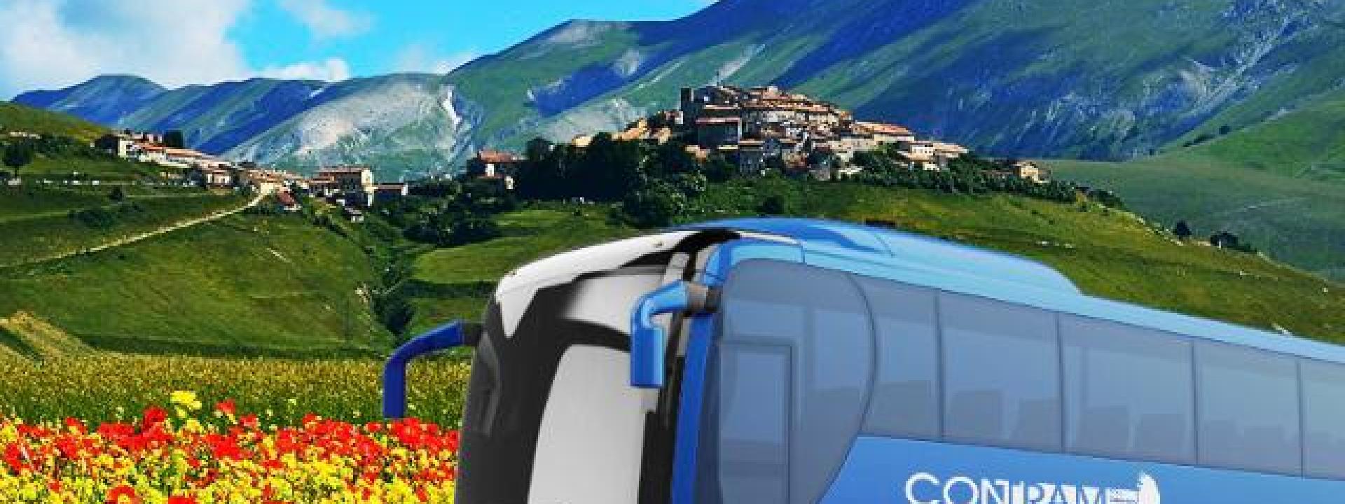 Fioritura di Castelluccio, tutte le indicazioni per usufruire del servizio navetta di Contram