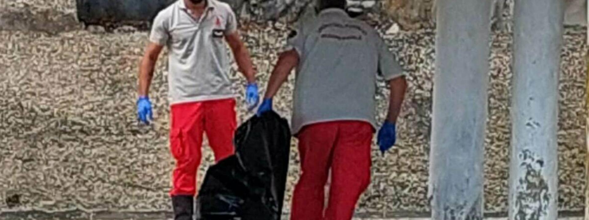 Marche - Delfino finisce contro gli scogli: la carcassa recuperata dai pompieri