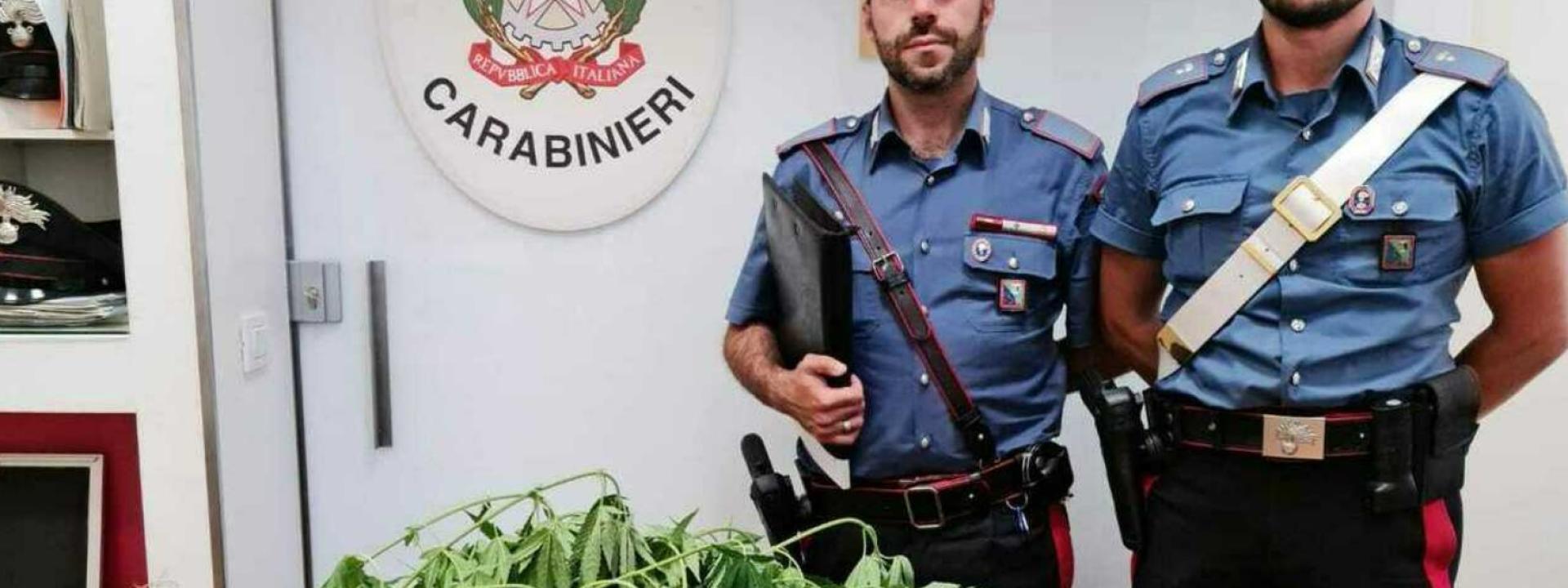 Marche - Scoperto con le piante di marijuana in casa: denunciato 52enne a Ussita