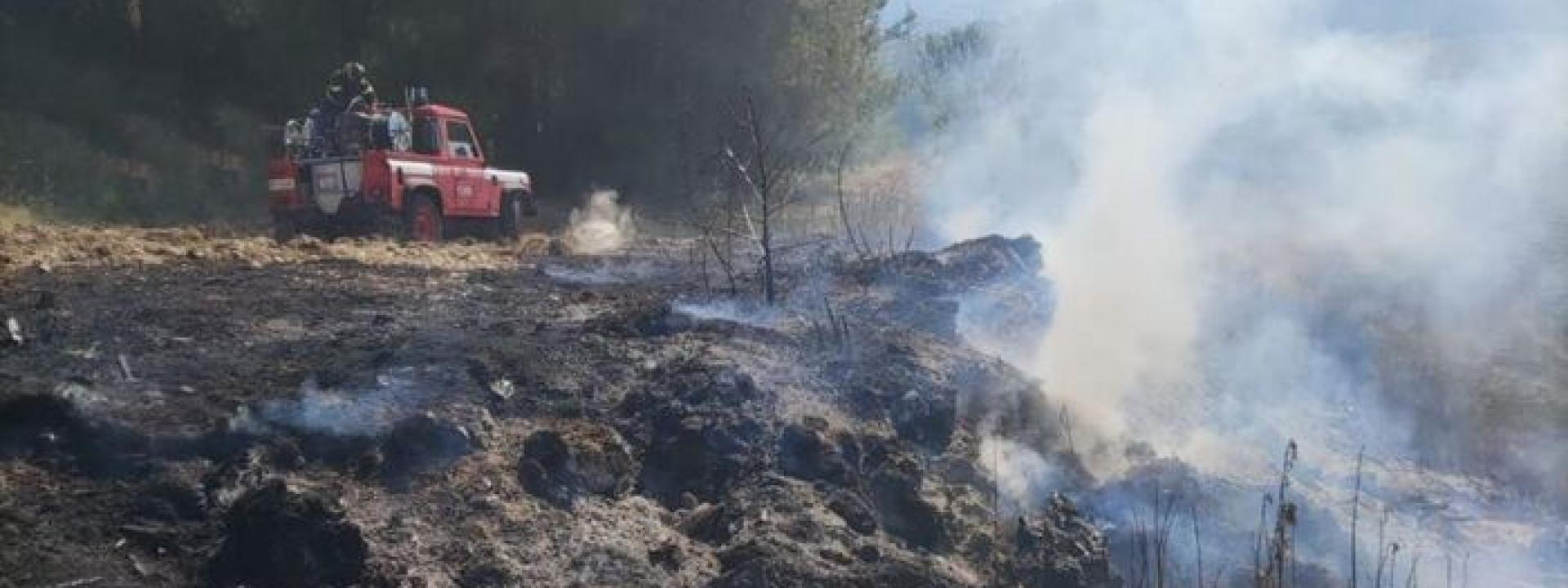 Marche - Vasto incendio esteso a un uliveto: pompieri al lavoro da ore