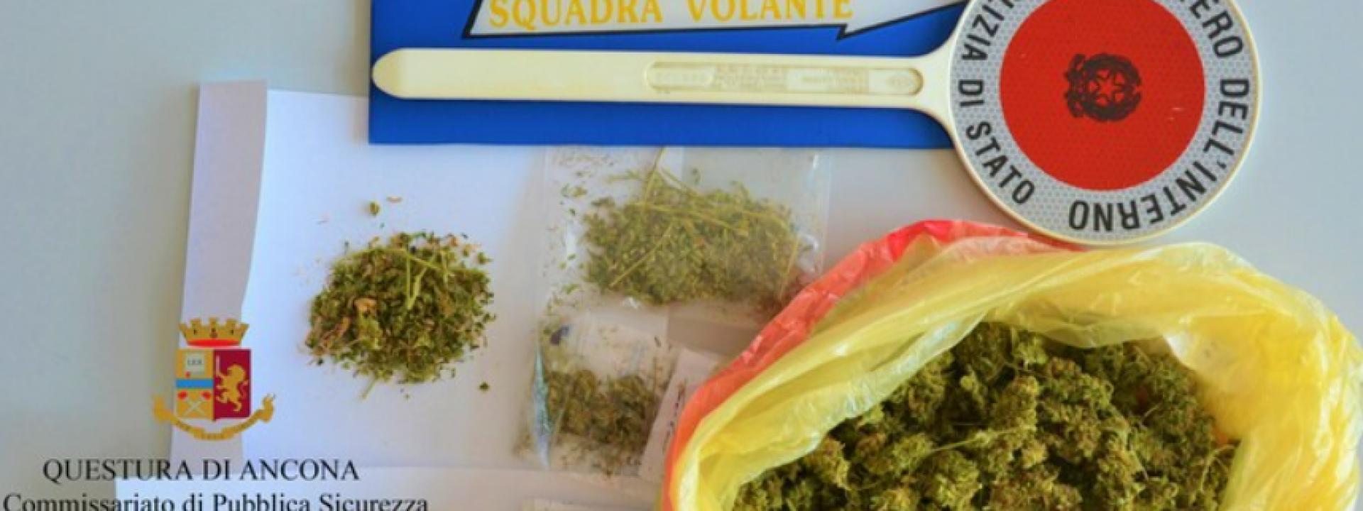 Marche - Costruisce in casa una struttura per coltivare marijuana: denunciato 40enne