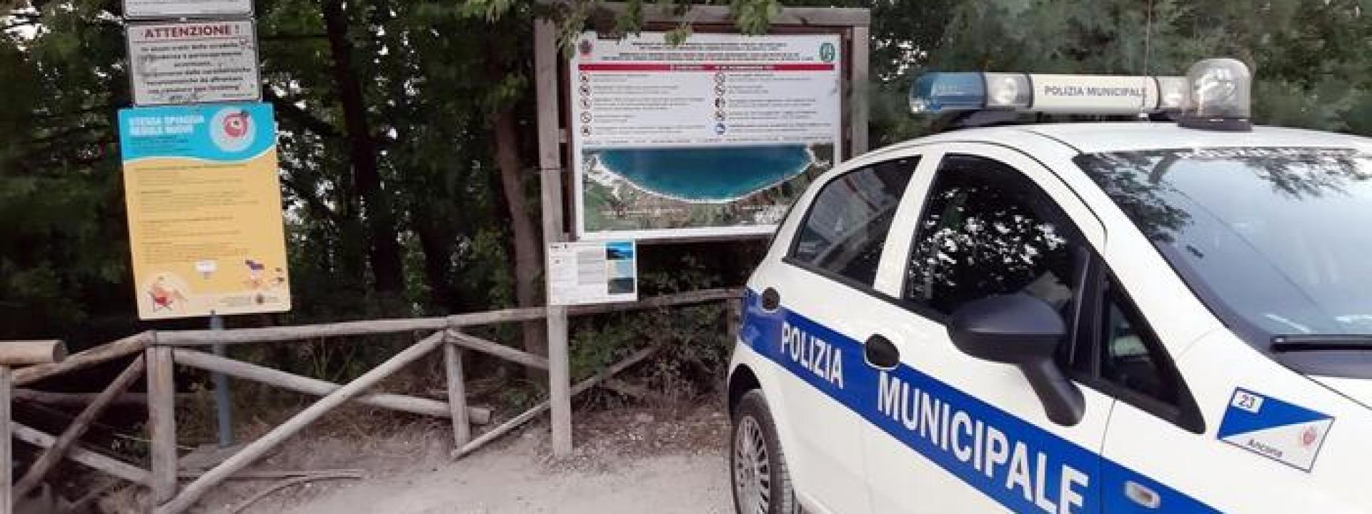 Marche - Ferragosto di multe: oltre 100 quelle elevate dalla Polizia locale