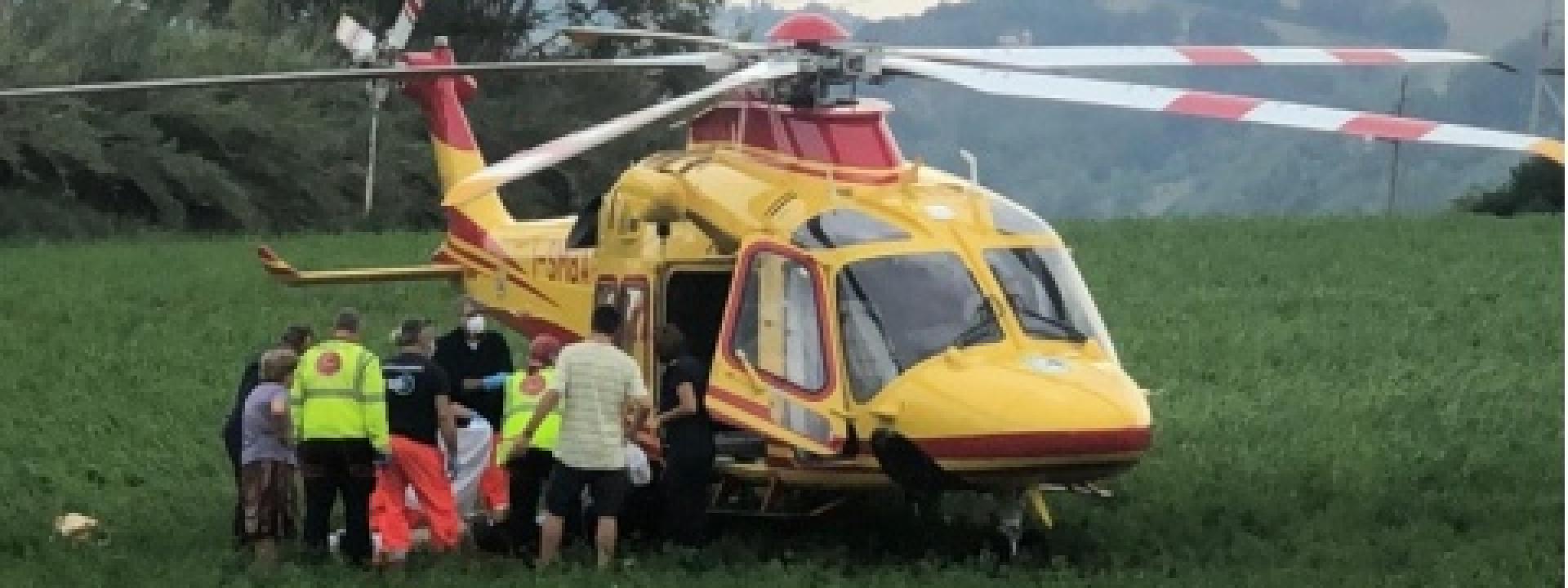 Marche - Travolto dall'albero che sta tagliando: grave un 58enne