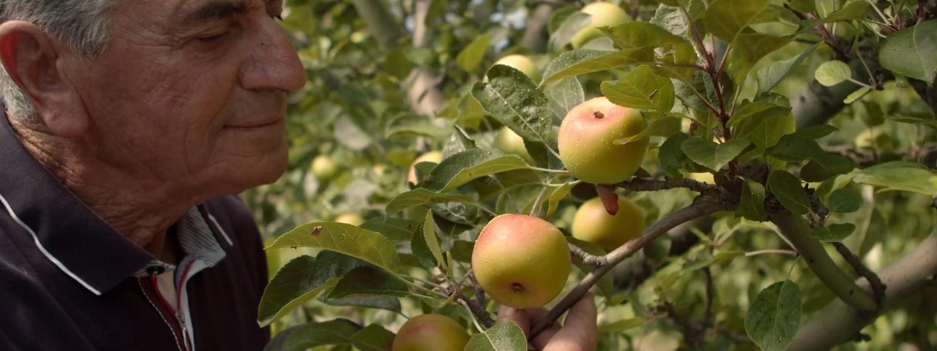 Marche - A Monte San Martino tornano i 