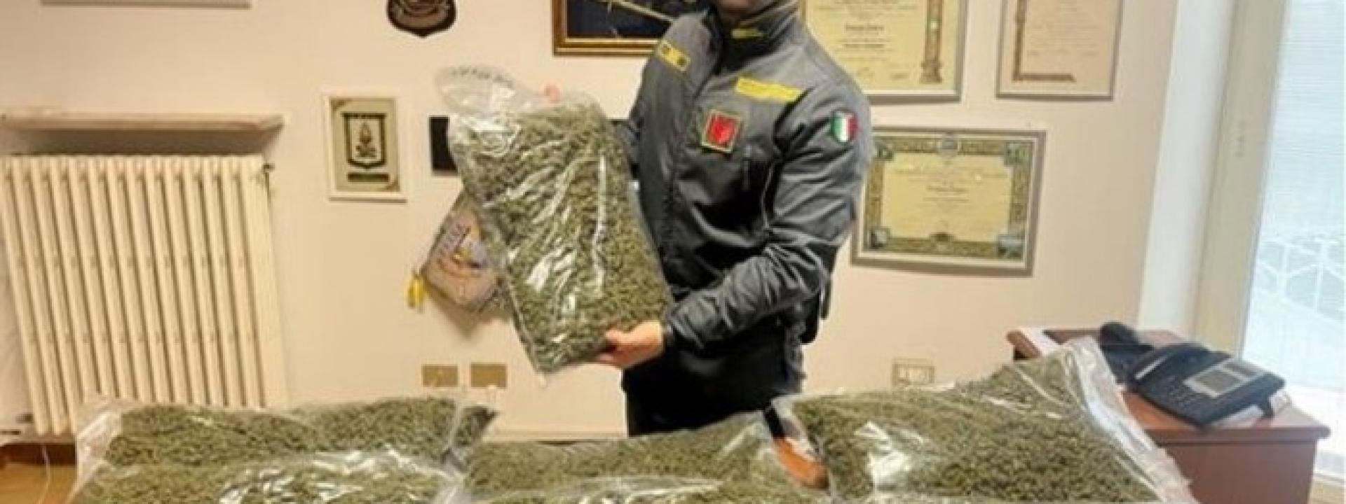 Marche - Altro maxi sequestro di marijuana: nei magazzini di tre imprese di spedizioni ce n'erano 42 kg