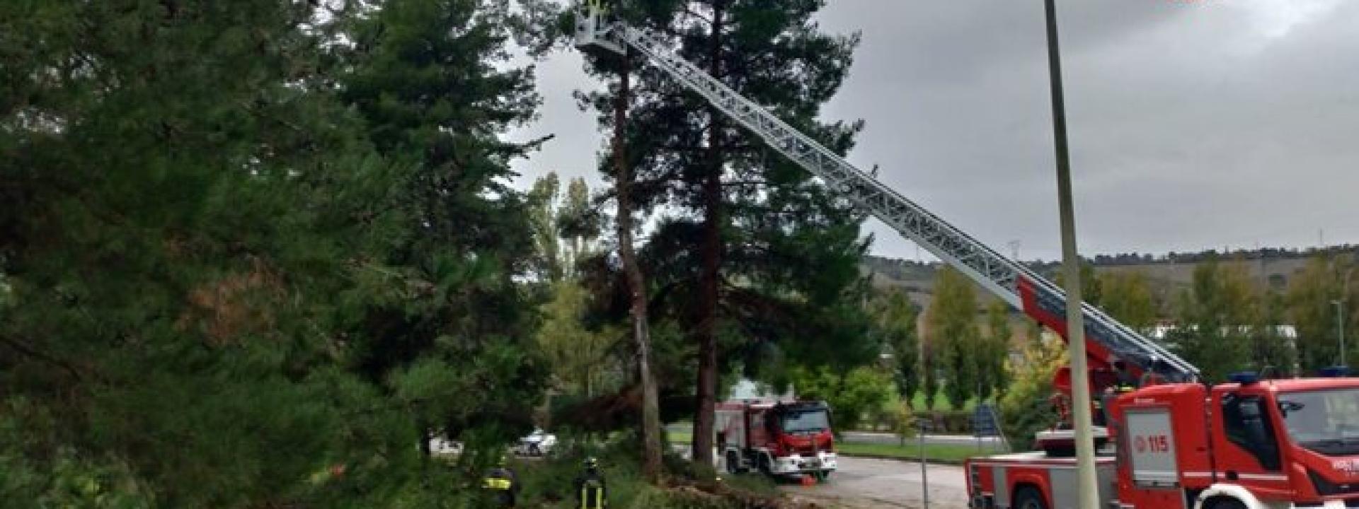 Marche - Maltempo, una trentina gli interventi dei Vigili del fuoco