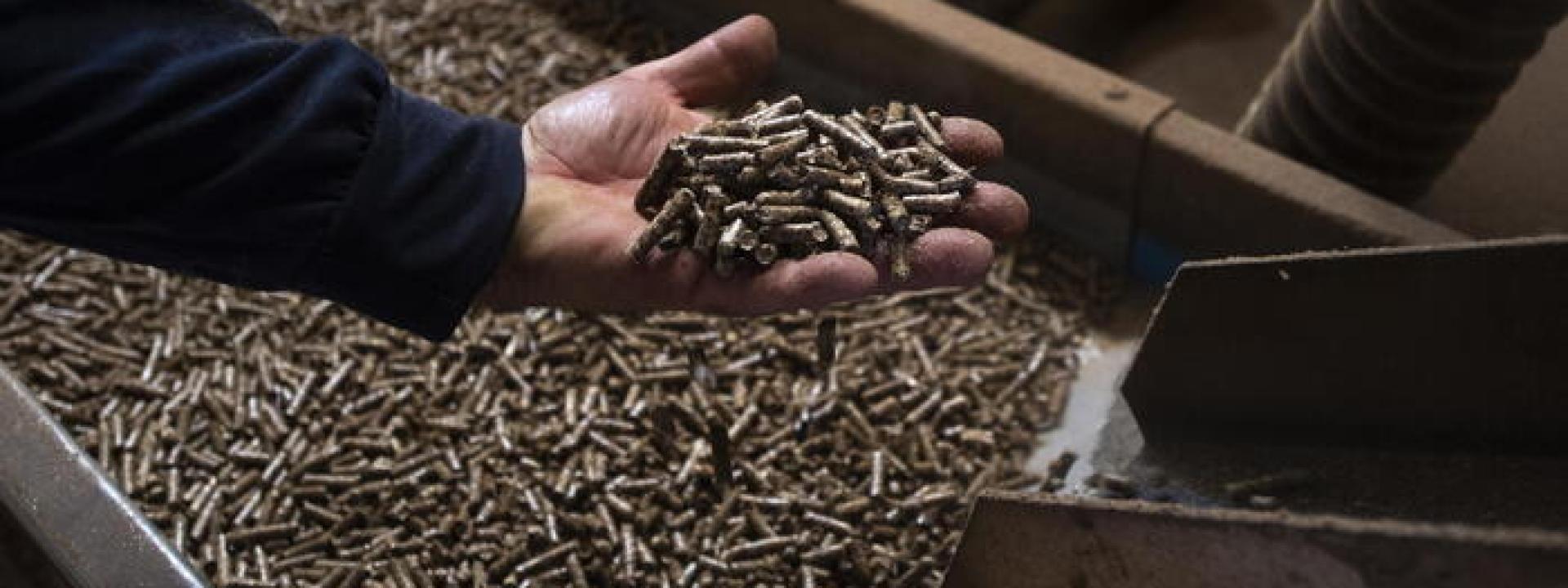 Marche - Vendevano on line pellet inesistente a prezzo stracciato: tre truffati