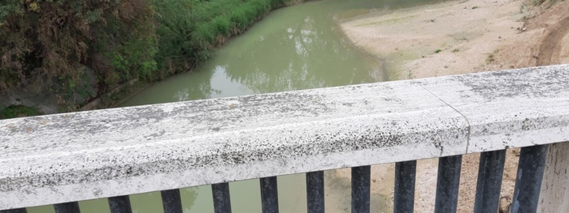 Marche - Cade di notte nel fiume: i carabinieri sentono le grida di aiuto e lo salvano