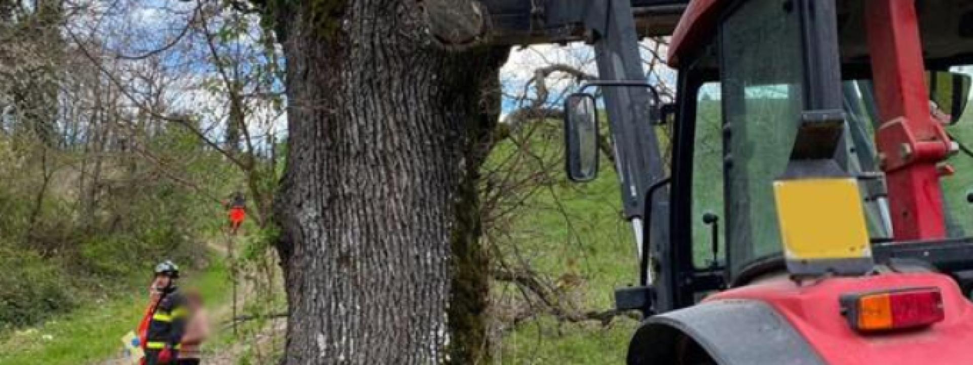 Marche - SI ferisce alla gamba con la motosega mentre taglia un ramo e muore dissanguato