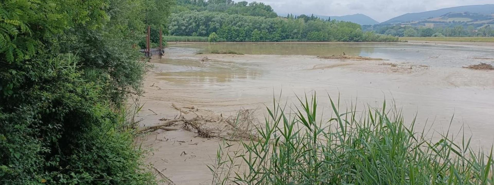 Marche - Tolentino, un albero blocca la chiusura di una paratoia: il lago delle Grazie si svuota