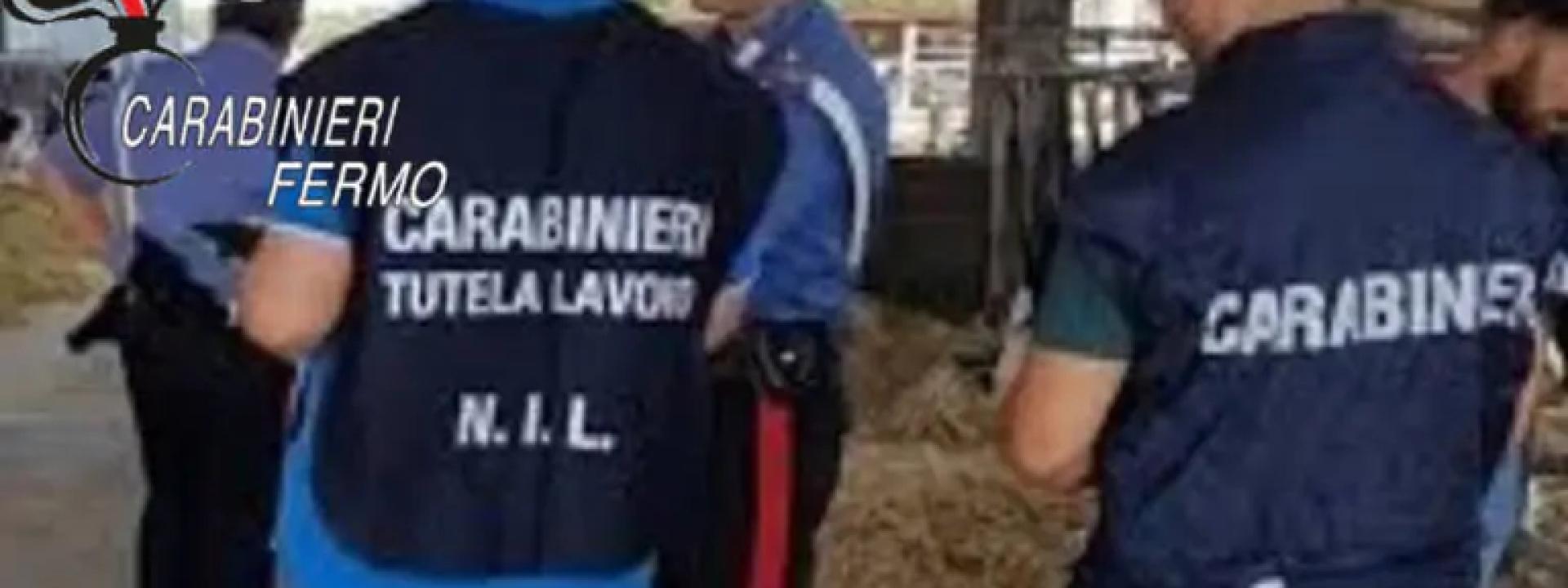 Marche - Violazioni delle norme igienico-sanitarie, mille euro di multa a uno chalet