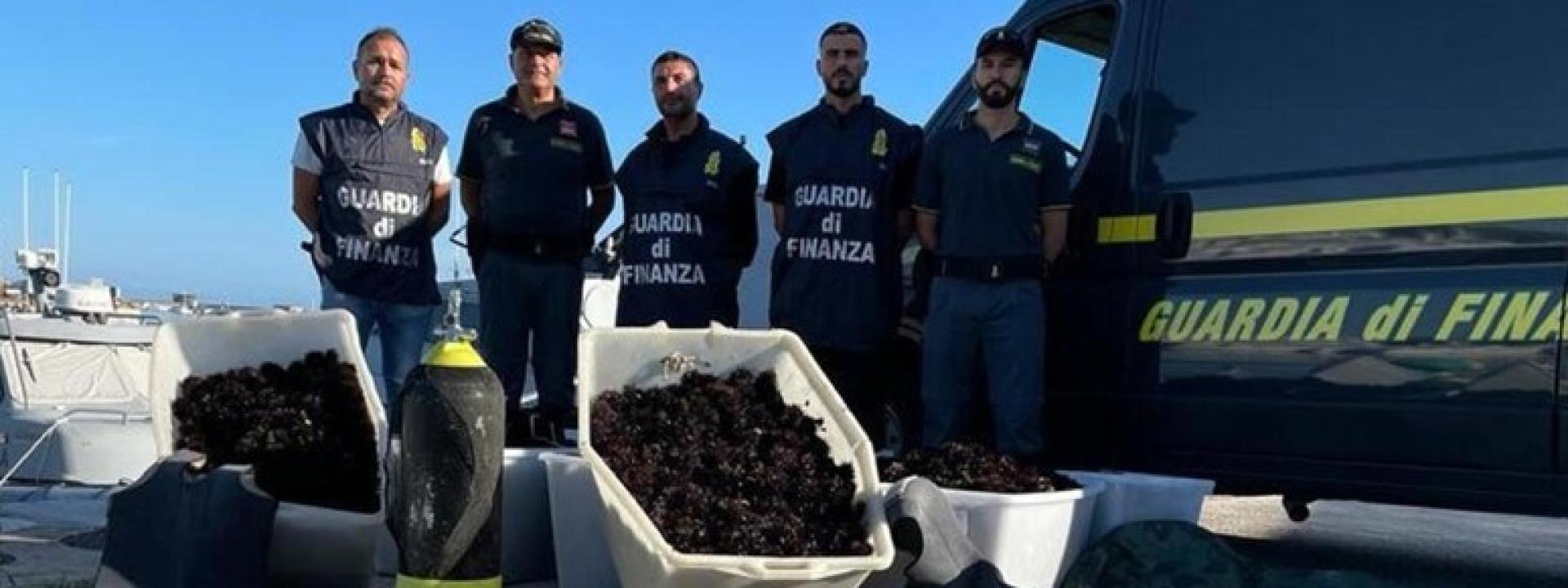 Marche - Sequestrati 10mila ricci di mare pescati illegalmente