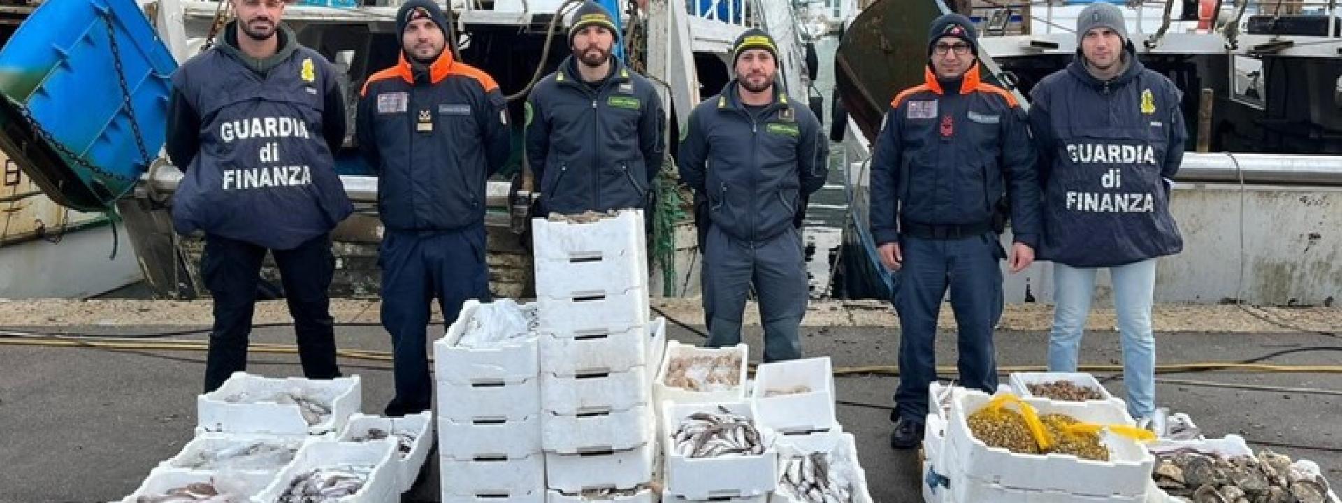 Marche - Sequestrati 400 kg di pesce e molluschi messi in vendita abusivamente