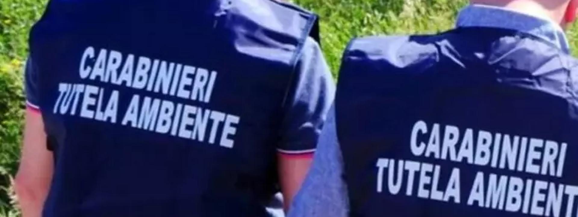 Marche - Gestione illecita di rifiuti speciali: denunciato un imprenditore