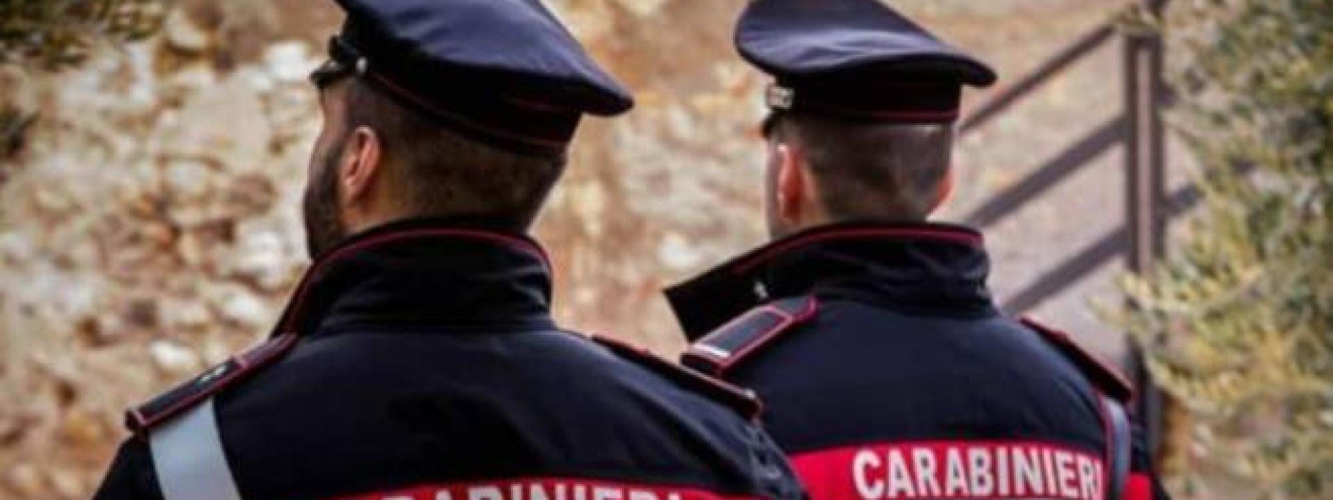 Marche - Denunce e indagini dei Carabinieri su episodi di vandalismo e violenza