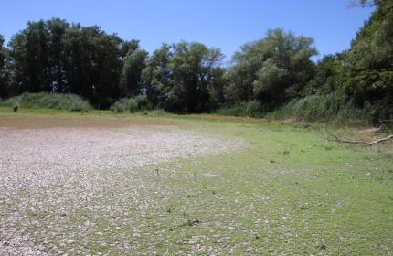 La siccità rischia di far scomparire la palude di Colfiorito