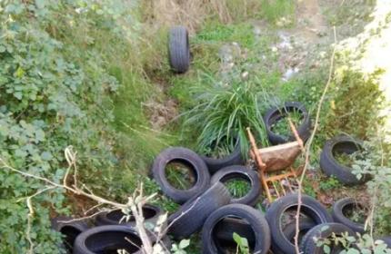 Marche - Scoperta dalle Guardie Ambientali una discarica di pneumatici