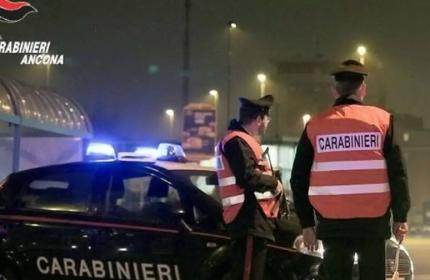 Marche - Il suo cane la morde, poi la costringe a barricarsi in casa: anziana salvata dai carabinieri