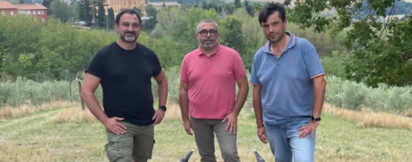 Marche - Droni contro la mosca dell'olivo, i risultati del progetto presentati a Macerata
