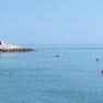 Marche - I delfini nuotano fra i bagnanti a Civitanova, il sindaco: 